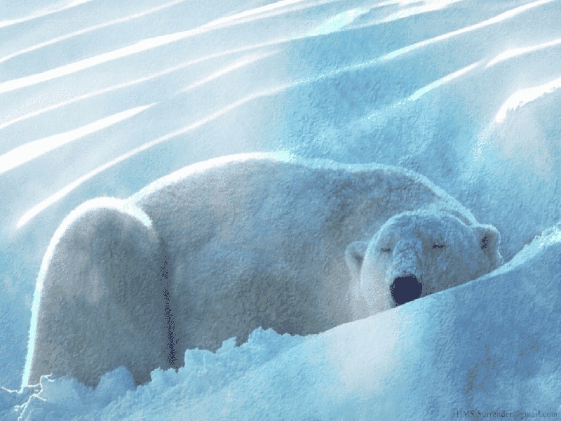 试管婴儿因果（试管积液有什么症状）