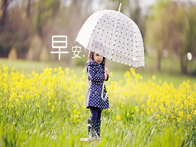 石家庄哪可以代怀,石家庄治疗习惯性流产的费用（试管后减胎）