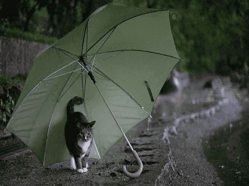 试管后宫颈出血（试管期间吃苹果）——